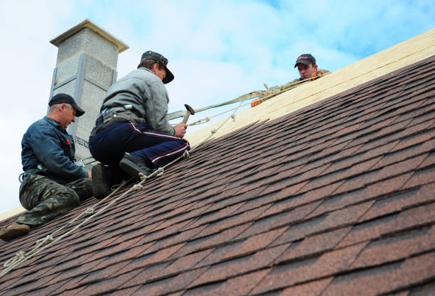 Best Gutter Installation and Roofing  in Shandon, CA