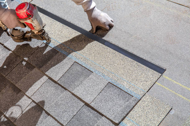Best Roof Gutter Cleaning  in Shandon, CA